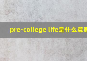 pre-college life是什么意思